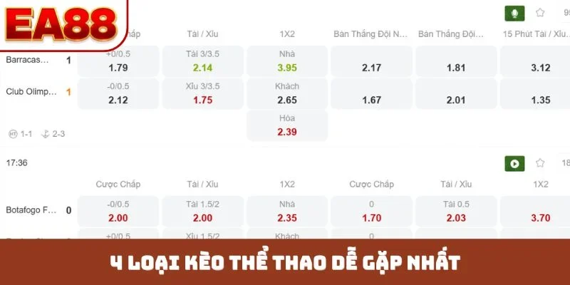 4 loại kèo thể thao dễ gặp nhất